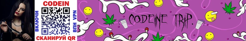 Codein Purple Drank блэк спрут онион Моздок