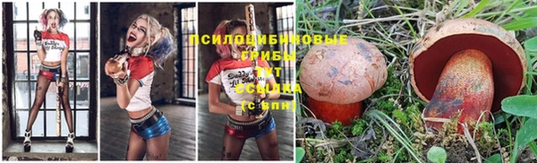 кокс Нея