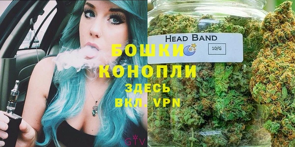 PSILOCYBIN Нефтегорск