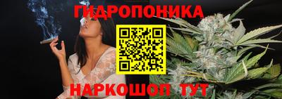 прущие крисы Изобильный