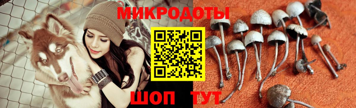 Псилоцибиновые грибы Psilocybine cubensis  Вход с VPN  Моздок  Псилоцибиновые грибы GOLDEN TEACHER 