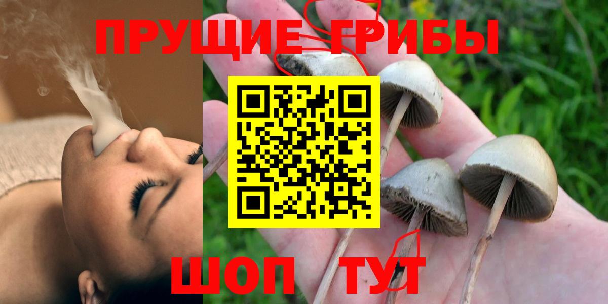 Псилоцибиновые грибы Magic Shrooms  Галлюциногенные грибы Cubensis  Моздок 
