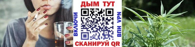 Конопля SATIVA & INDICA Моздок